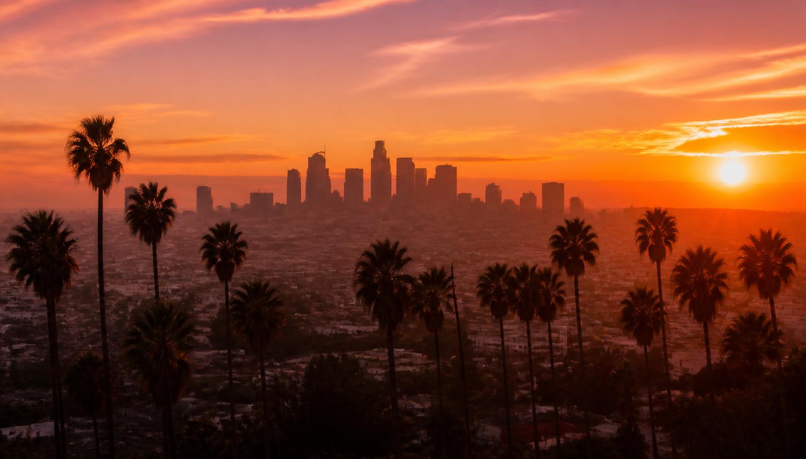 Los Angeles skyline at sunset with palm trees and a crimson local-search map pin, illustrating reputation management in Los Angeles