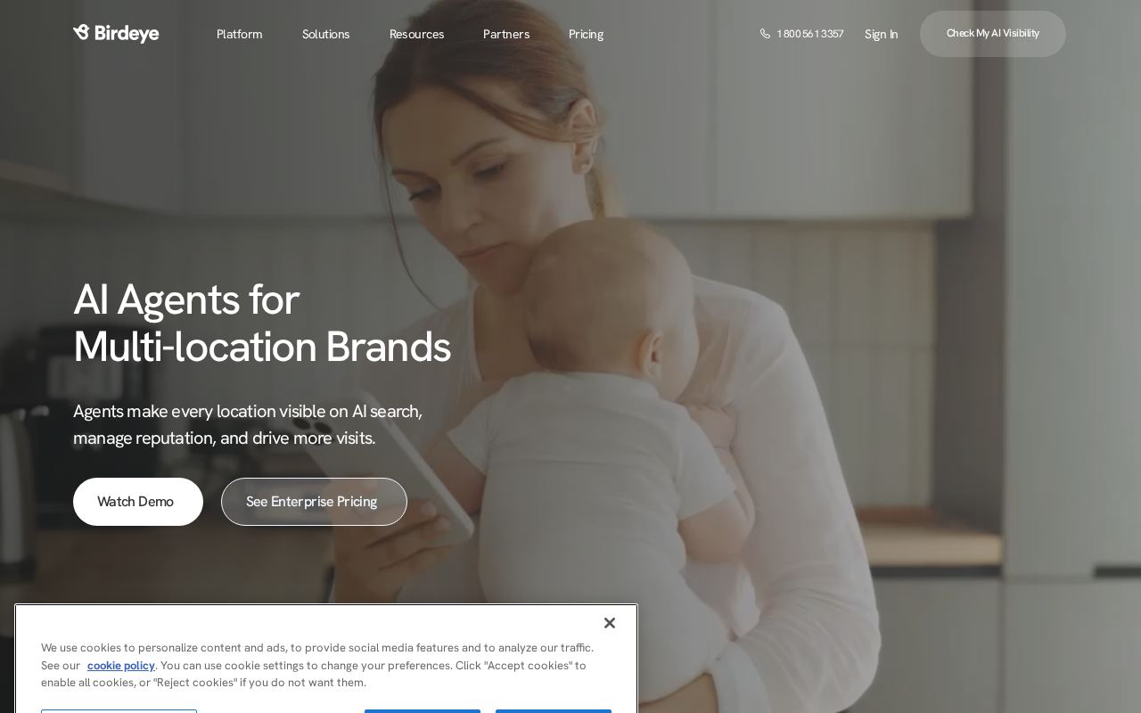 Homepage screenshot of Birdeye