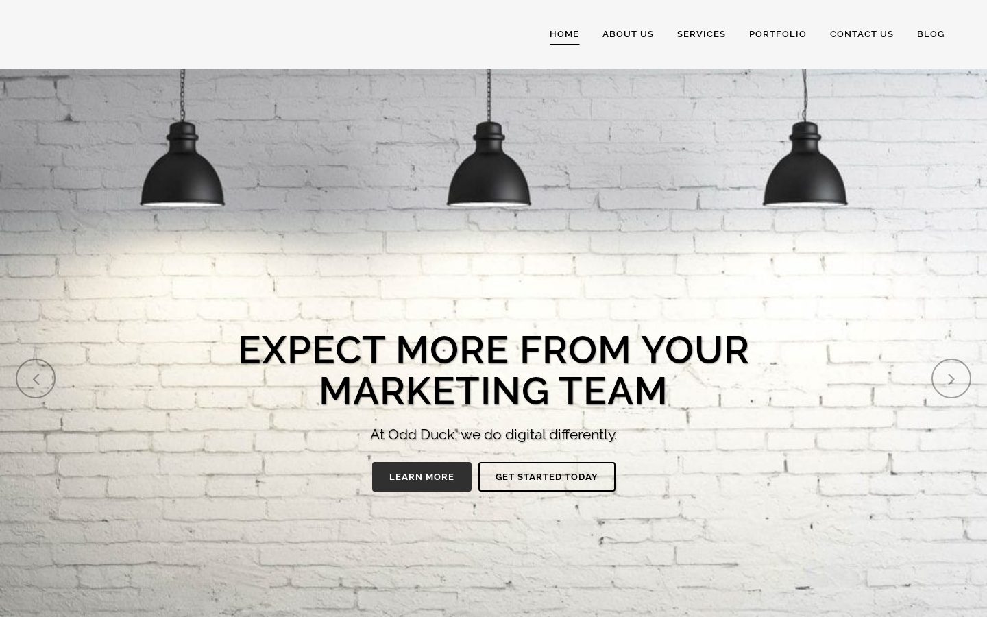 Homepage screenshot of Odd Duck Media